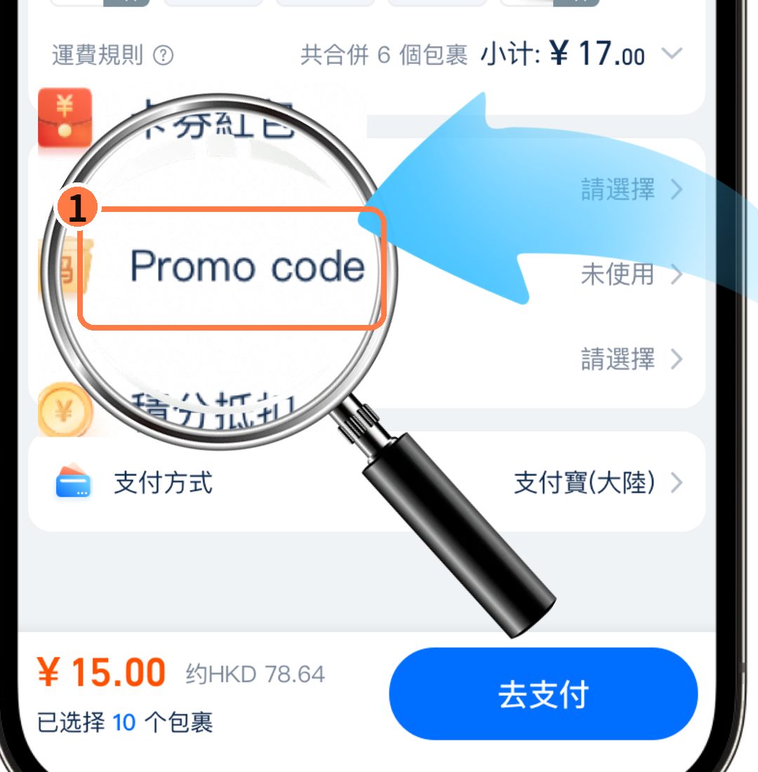 付款页的「渠道码」一栏（英文界面显示 Promo Code）